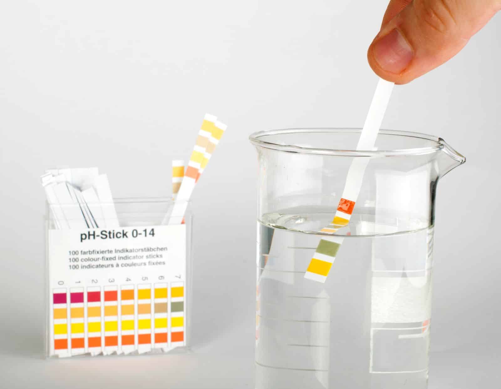 water management ph testing strips being used in beaker of water