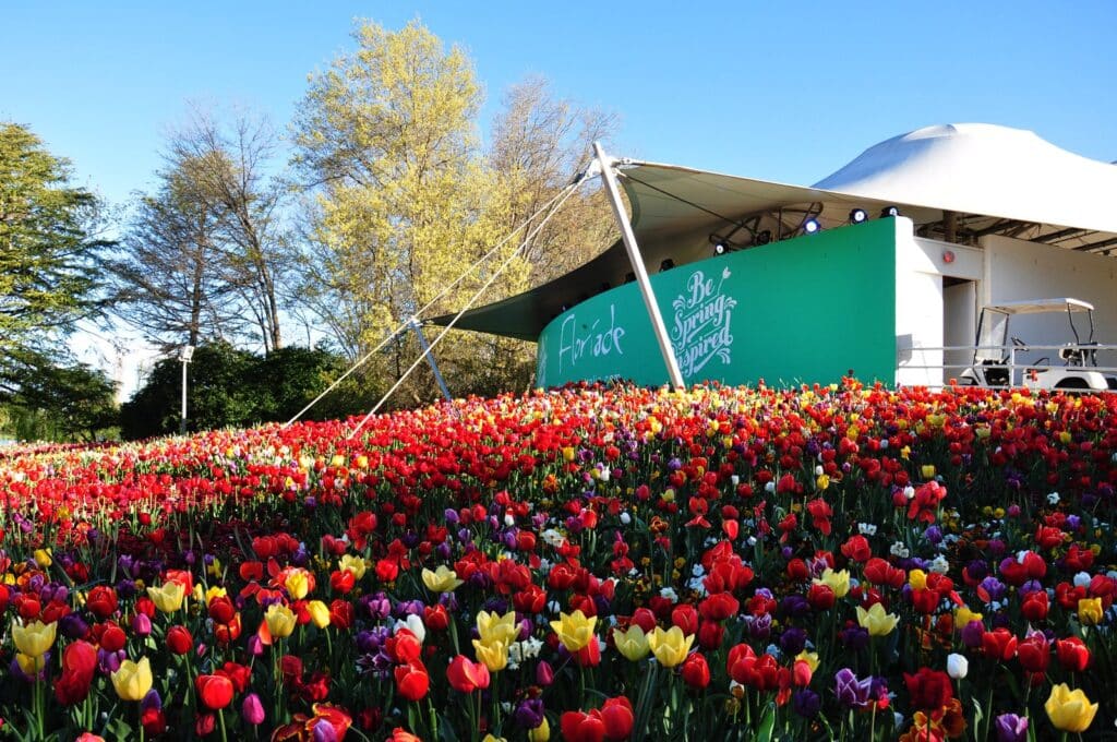 Canberra Floriade Festival setup