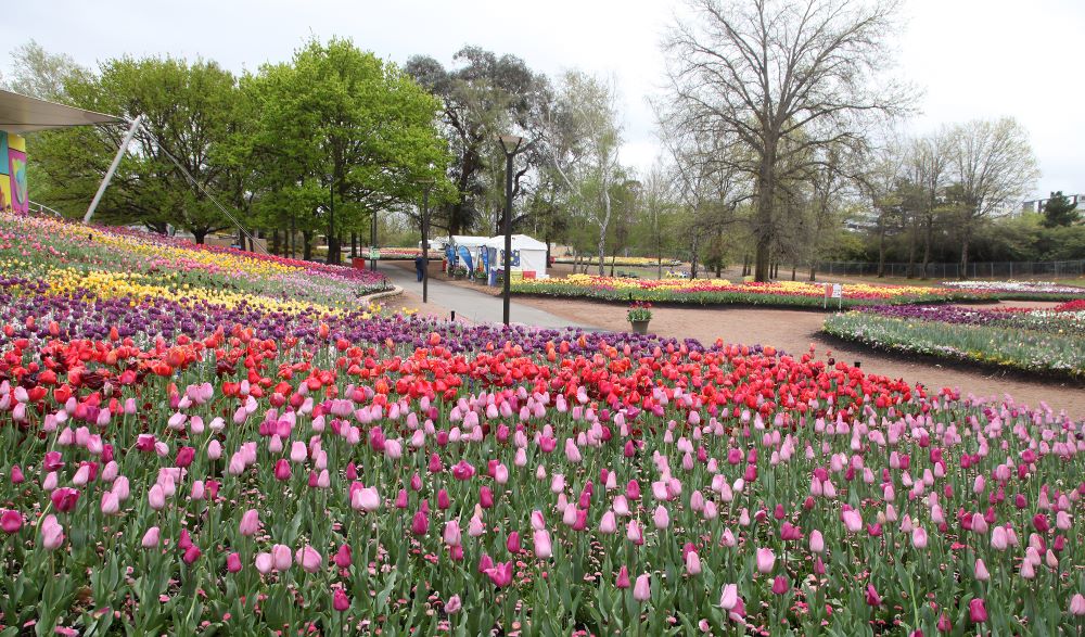 Floriade Festival in Canberra