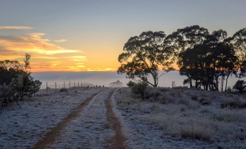Mulligans Flat, Guanghalin Canberra